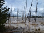 yellowstone